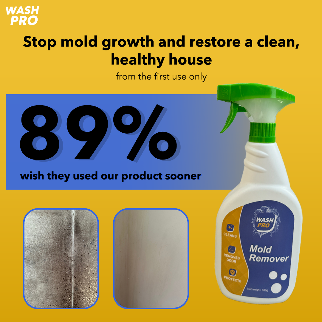 WashPro™ Mold Remover