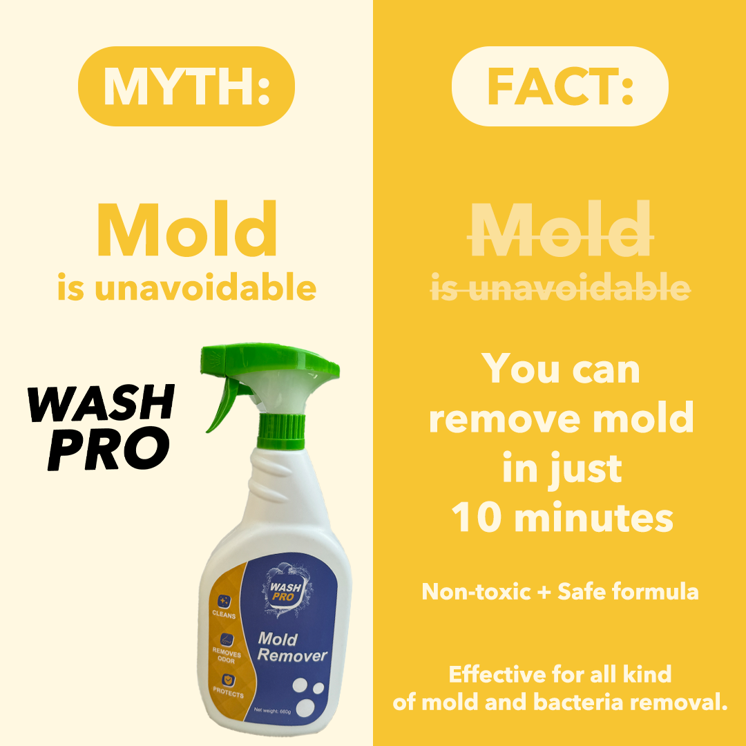 WashPro™ Mold Remover