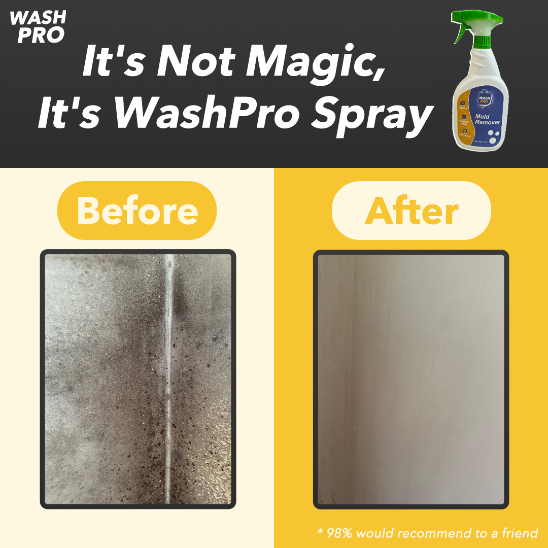 WashPro™ Mold Remover