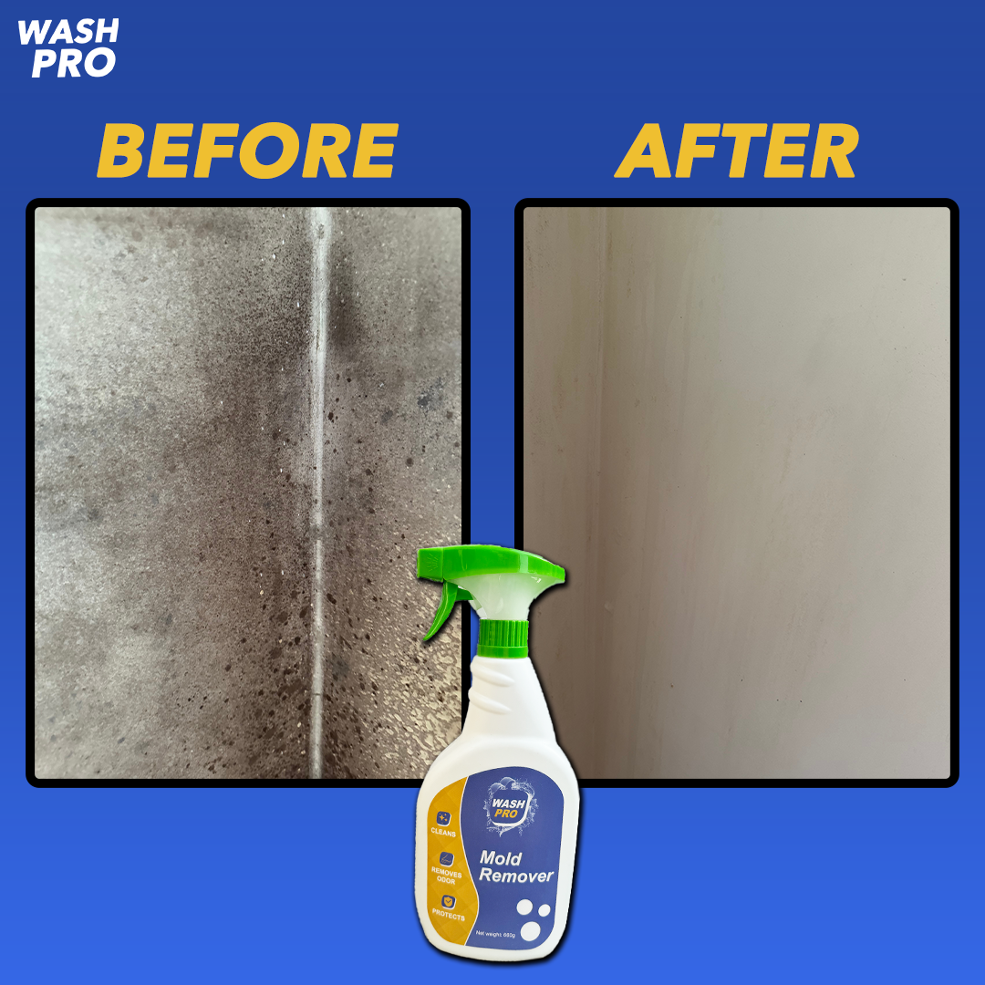 WashPro™ Mold Remover